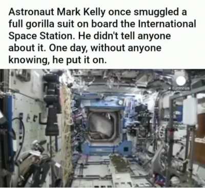 Space gorilla