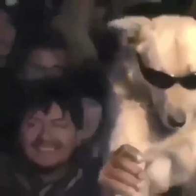 😎