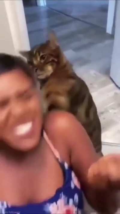 Stop Stop Stop