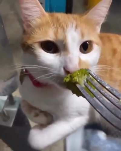 What could go wrong if I sniff broccoli?