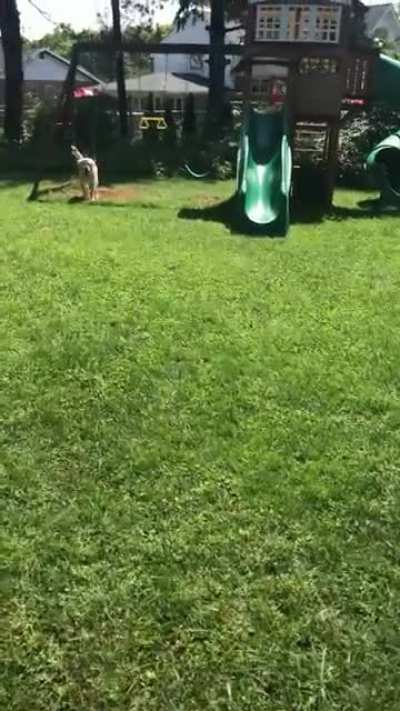 He just wants to swing too