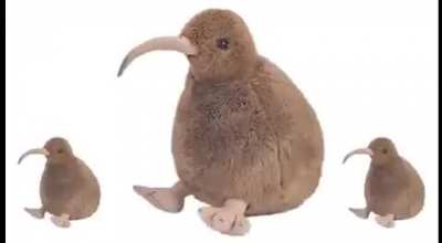 Kwai