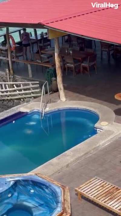 Excuse me sir, this is chair was taken