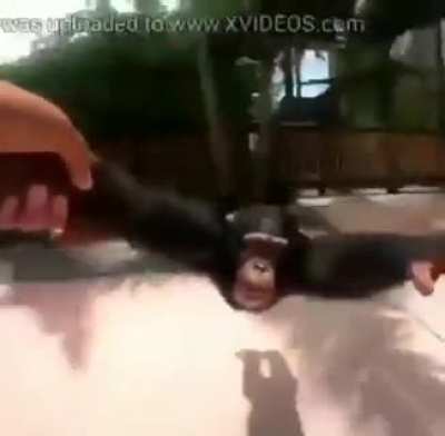 MONKE