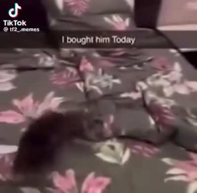 :3