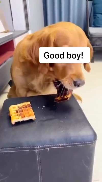 Sharing is caring.