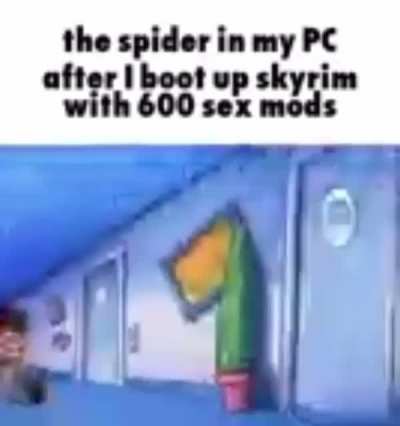 Moldy spider
