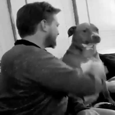 The dog said: 