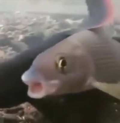 hmmmm