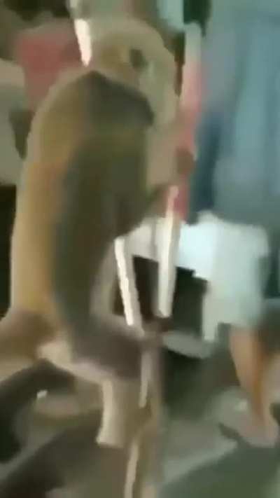 ?