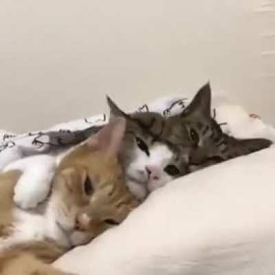 Weekend mood..