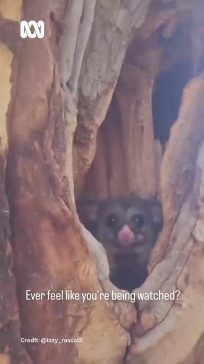 She wants to know what you're doing in her house!!! 😆