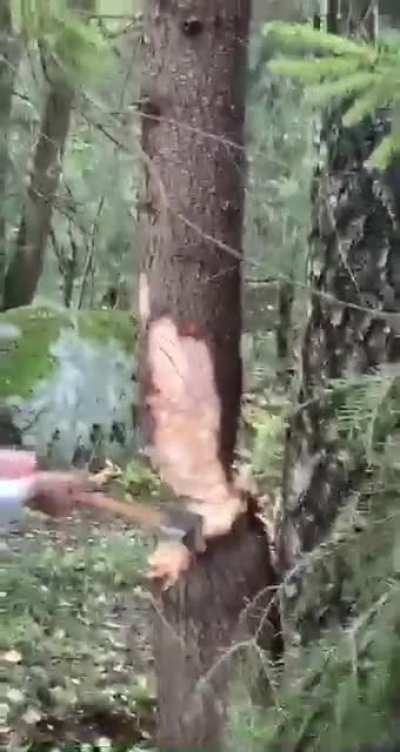 Casual Lumberjack