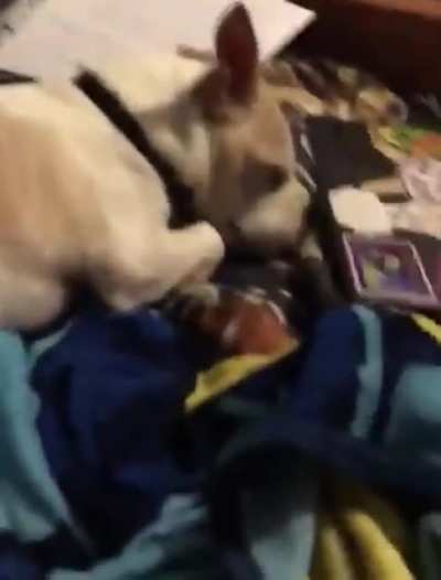 Idk if this counts but it made me nose exhale
