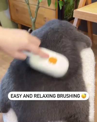 Efficient cat grooming with a steam brush! 
