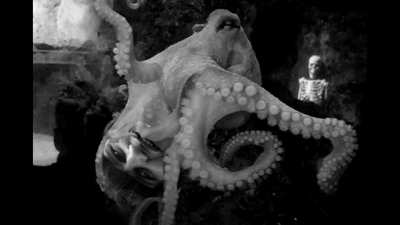 Octopus's Pussy
