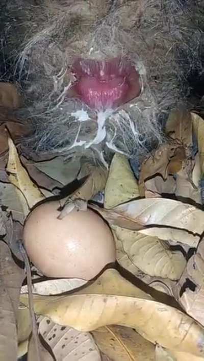 Enough internet for today