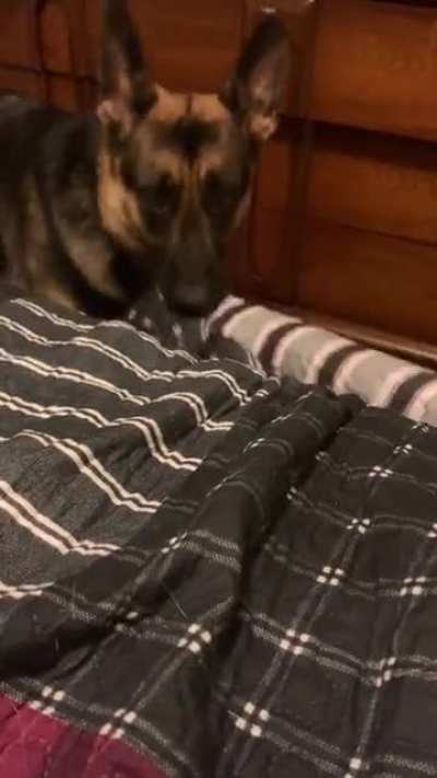 She bit my hand right after that :/