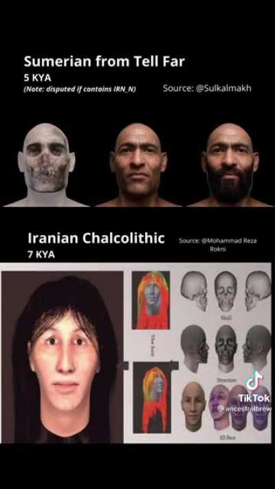Man perfectly explains how we are not white or black and that we came in all colors, and how its harmful for non-Egyptians to spread misinformation about our ancestry. Arabic speaking muslim Egyptians and Coptics are direct descendants of ancients Egyptia