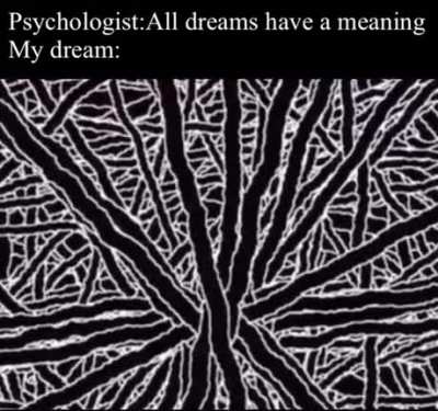 trippy asf but still no meaning