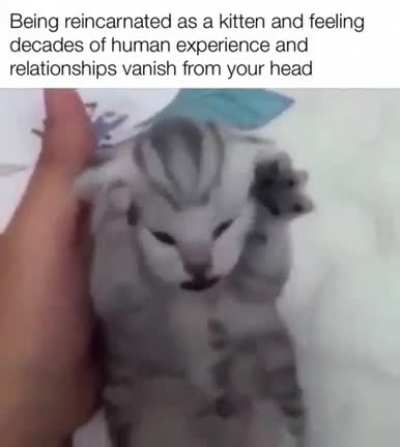 😳