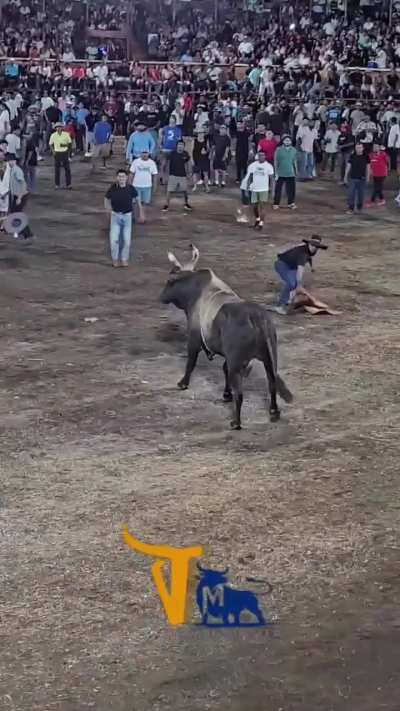 Flying with the bull