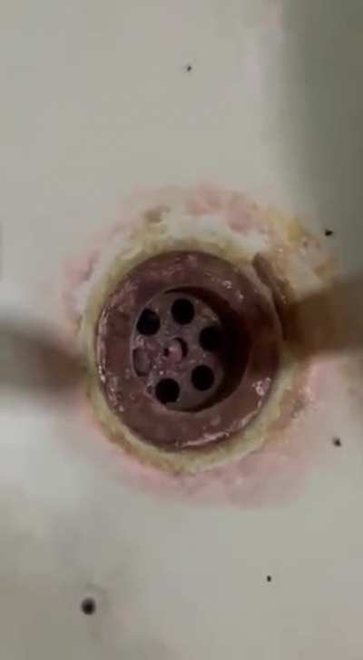 they're in the drains