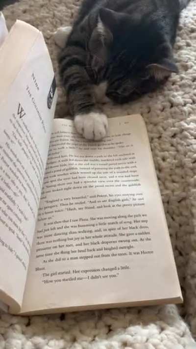 Professional bookmark