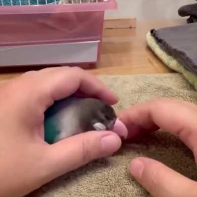 Someone was jealous