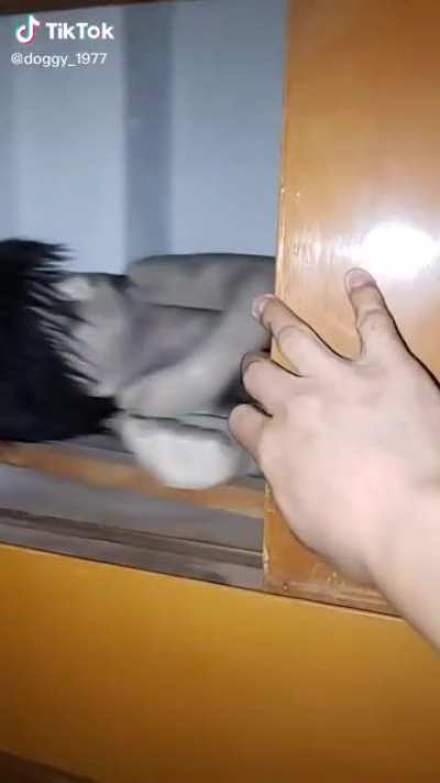 Alta rockola wacho