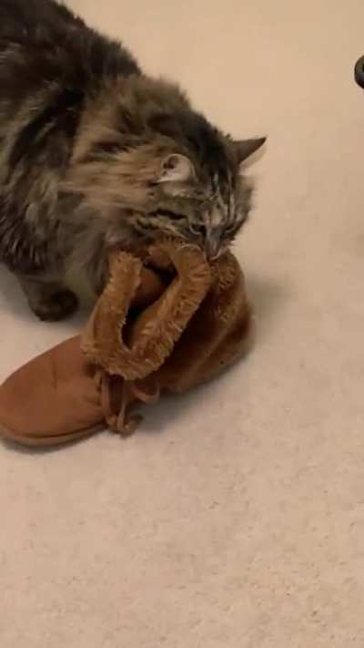 Here .. your f boot