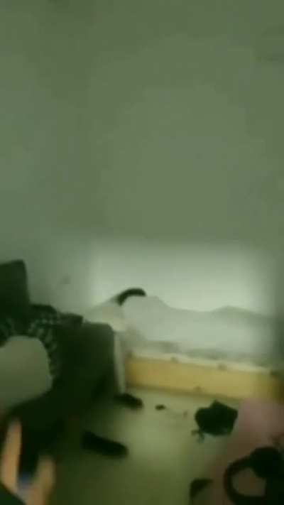 Mateo, it's time to get up...