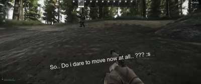 I hired my friend as a guide on Woods for some quests. He said he knew where to walk