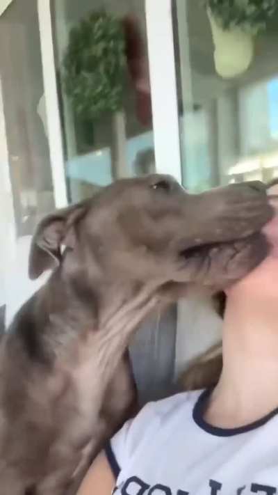 LAST DAY FOR SWEET SADIE! TODAY, TUESDAY 1/27 is her DEADLINE. She needs an ADOPTER or a FOSTER so a rescue can help her. EUTHANASIA LIST at Orange County Animal Services in ORLANDO, FL. Please dm /u/biancamission if you can foster Sadie for a rescue.