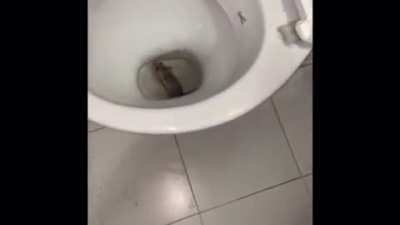 Oh no.......