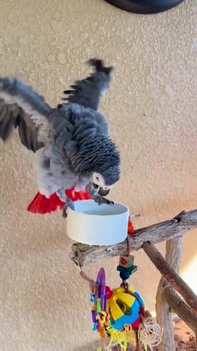 Bath time