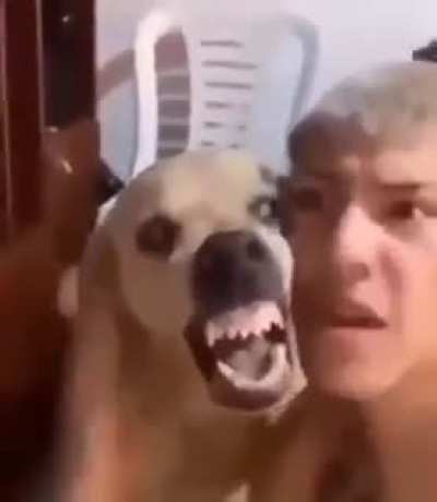 Moldy beatbox