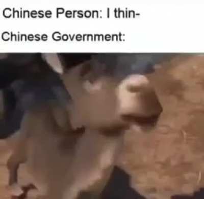 Chenese govenmen