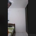 What the fuck is that