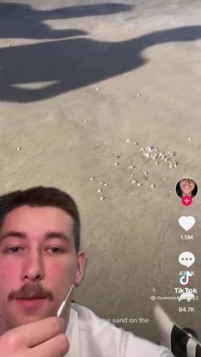my man really hates those shells