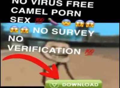 Oh god I hope this doesn’t get taken down