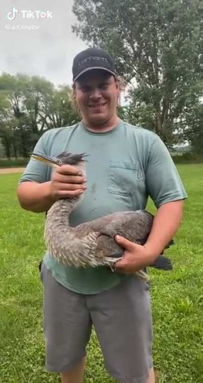 It’s like a Steve Irwin relationship