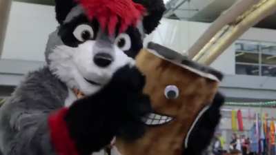 Remember, no furry