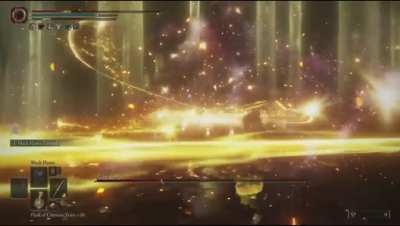 “Elden beast is such a fun fight!”