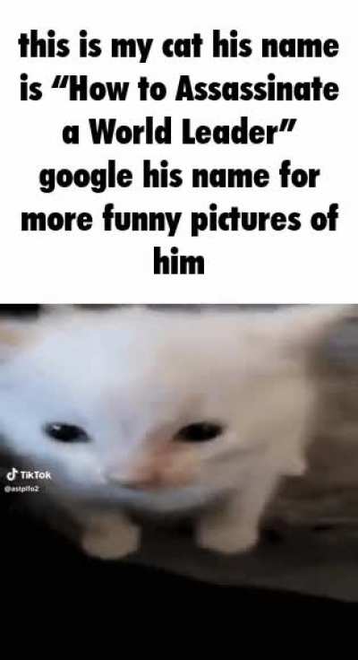 Researchable Wunk