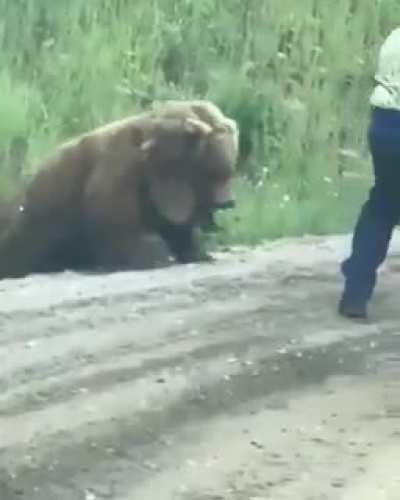 They gotta put him down