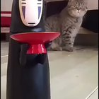 That look of shock
