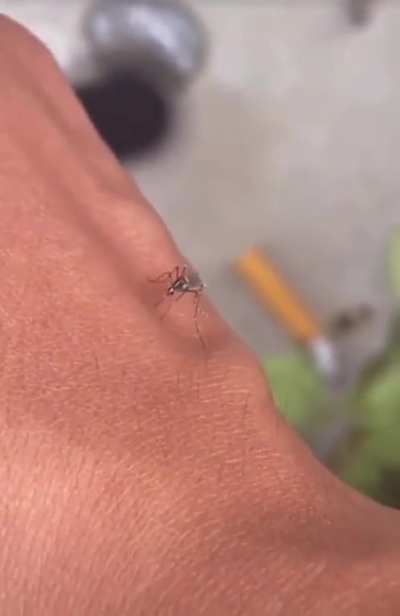 Maybe maybe maybe