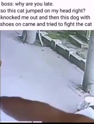Me_irl