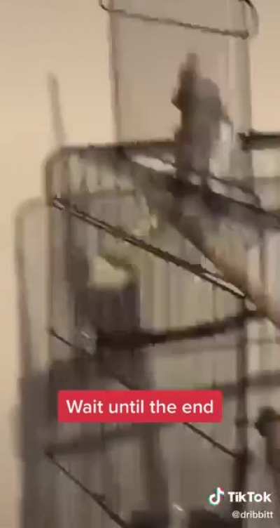 Told you so
